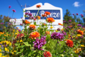 Гостиница Bay Breeze Resort  Эфрейм